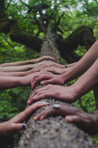 Multiple hands on a tree